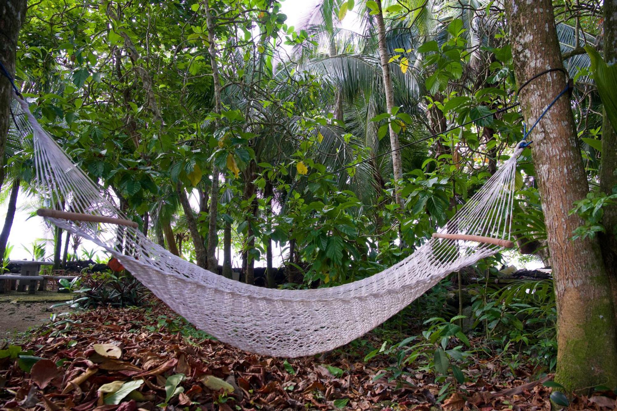 Casa Mamre Hostel Cahuita Luaran gambar