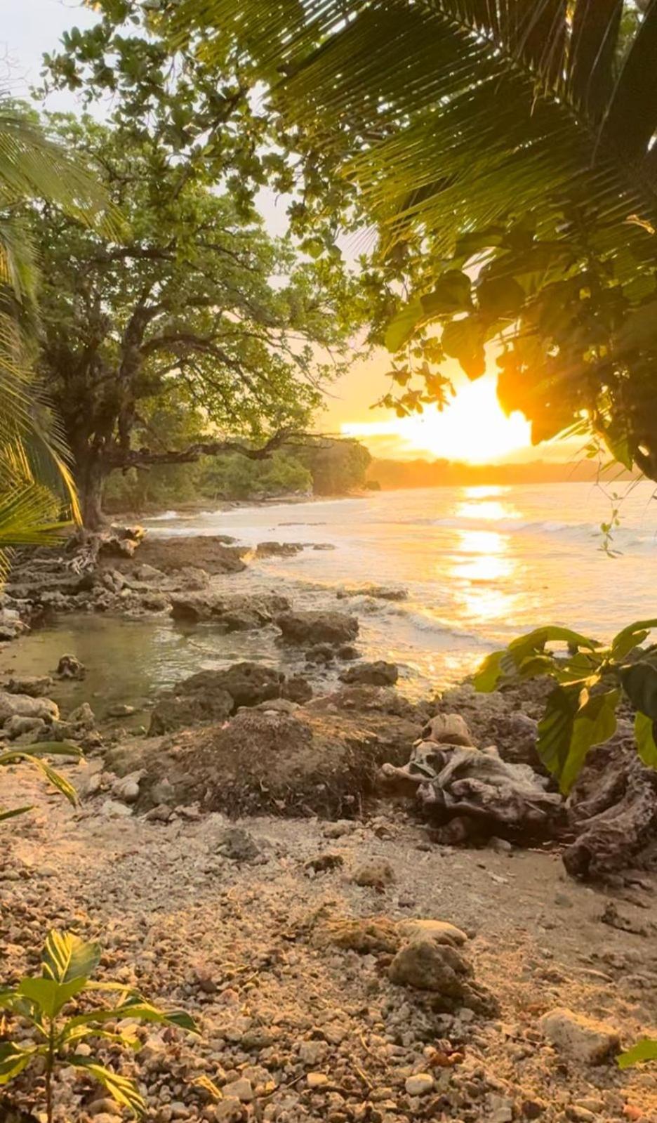 Casa Mamre Hostel Cahuita Luaran gambar