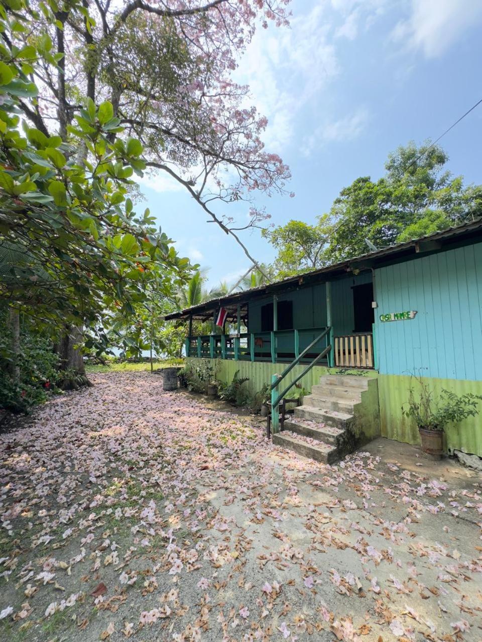 Casa Mamre Hostel Cahuita Luaran gambar